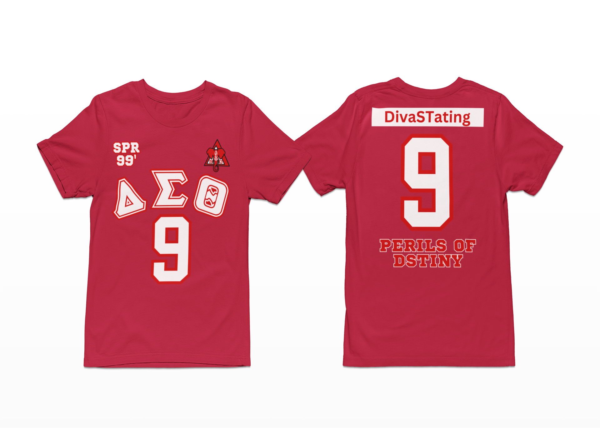 DELTA SIGMA THETA CUSTOM GREEK LINE T SHIRT