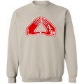 Delta Sigma Theta Sweatshirt Paraphernalia Screen Printed Unisex