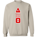 Delta Sigma Theta Sweatshirt Paraphernalia Screen Printed Unisex