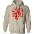 Delta Sigma Theta Hoodie Paraphernalia Screen Printed Unisex