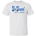 Zeta Phi Beta Sorority T-Shirt