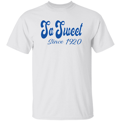 Zeta Phi Beta Sorority T-Shirt