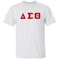 Delta Sigma Theta T-Shirt Paraphernalia Screen Printed Unisex