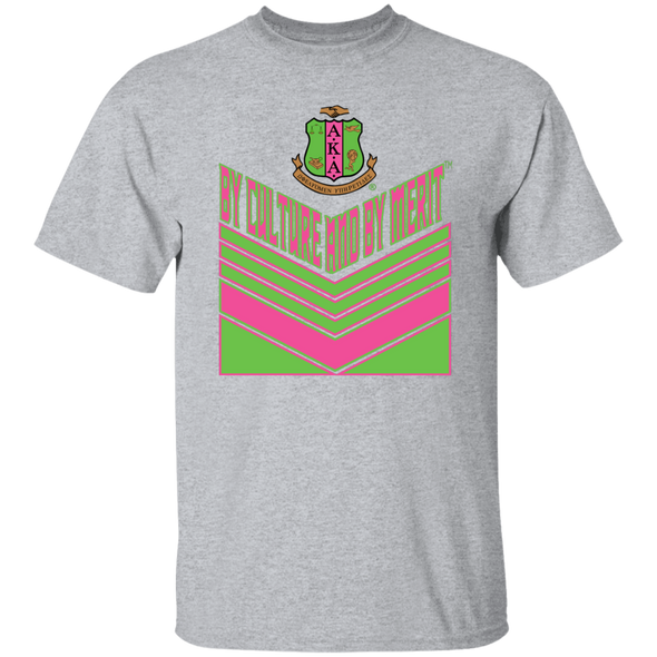 Alpha Kappa Alpha Screen Printed T-Shirt
