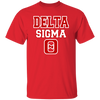 Delta Sigma Theta T-Shirt Paraphernalia Screen Printed Unisex