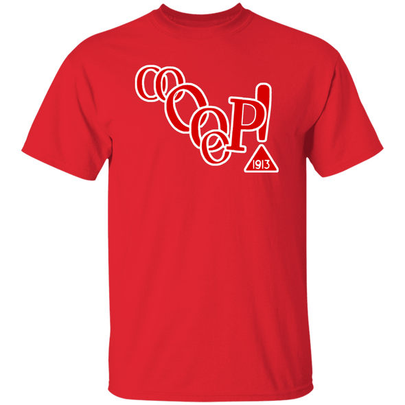 Delta Sigma Theta T-Shirt Paraphernalia Screen Printed Unisex