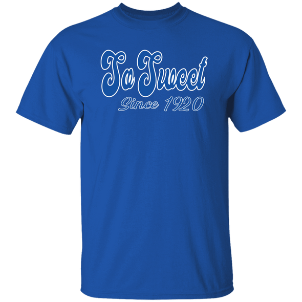 Zeta Phi Beta Sorority T-Shirt