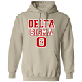 Delta Sigma Theta Hoodie Paraphernalia Screen Printed Unisex