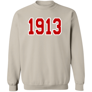 Delta Sigma Theta Sweatshirt Paraphernalia Screen Printed Unisex