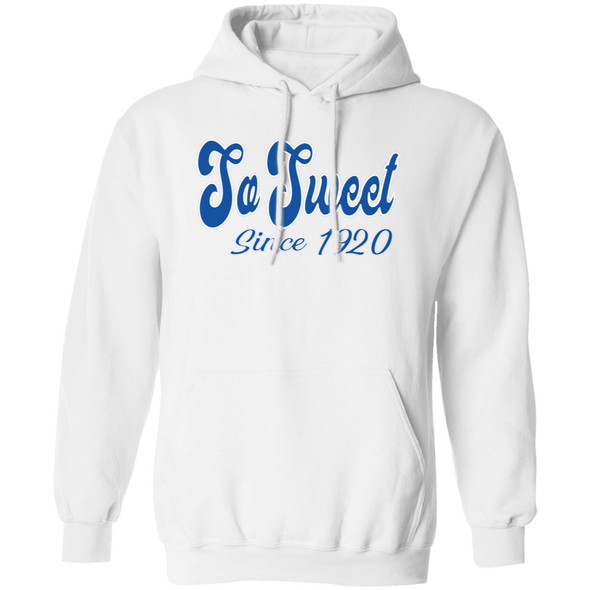 Zeta Phi Beta Sorority Hoodie