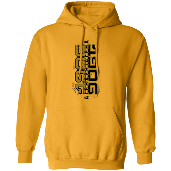 Alpha Phi Alpha Fraternity Hoodie - My Greek Letters
