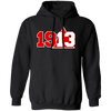 Delta Sigma Theta Hoodie Paraphernalia Screen Printed Unisex