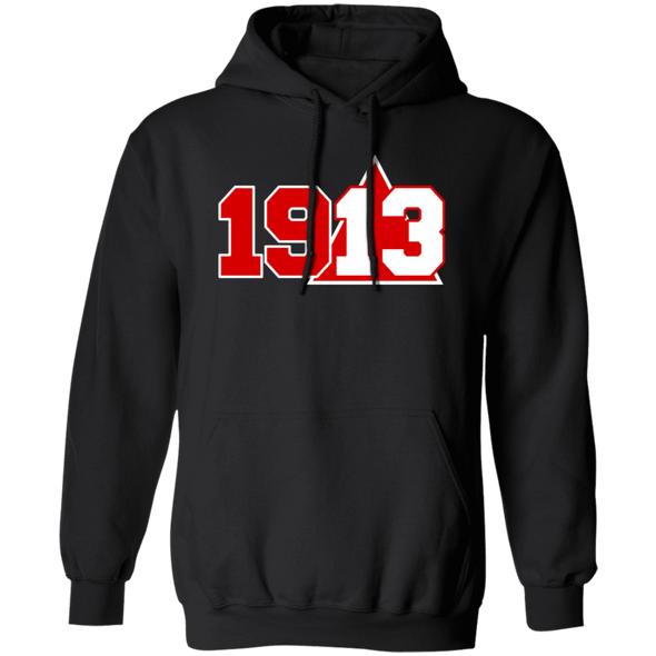 Delta Sigma Theta Hoodie Paraphernalia Screen Printed Unisex