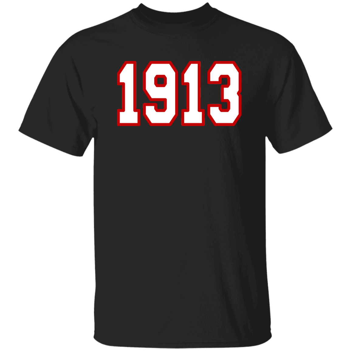 Delta Sigma Theta T-Shirt Paraphernalia Screen Printed Unisex