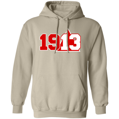 Delta Sigma Theta Hoodie Paraphernalia Screen Printed Unisex