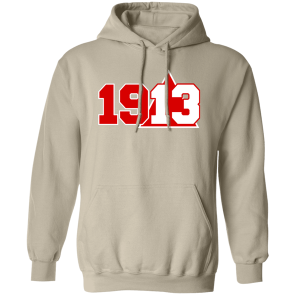 Delta Sigma Theta Hoodie Paraphernalia Screen Printed Unisex