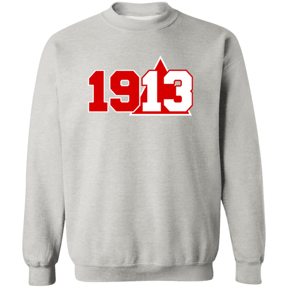 Delta Sigma Theta Sweatshirt Paraphernalia Screen Printed Unisex