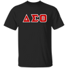 Delta Sigma Theta T-Shirt Paraphernalia Screen Printed Unisex