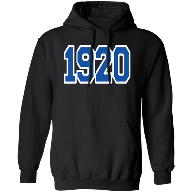 Zeta Phi Beta Sorority Hoodie