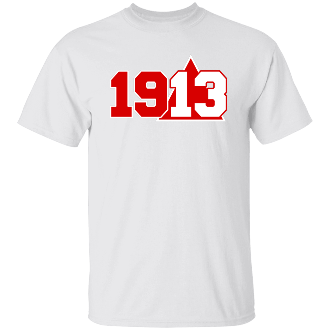 Delta Sigma Theta T-Shirt Paraphernalia Screen Printed Unisex
