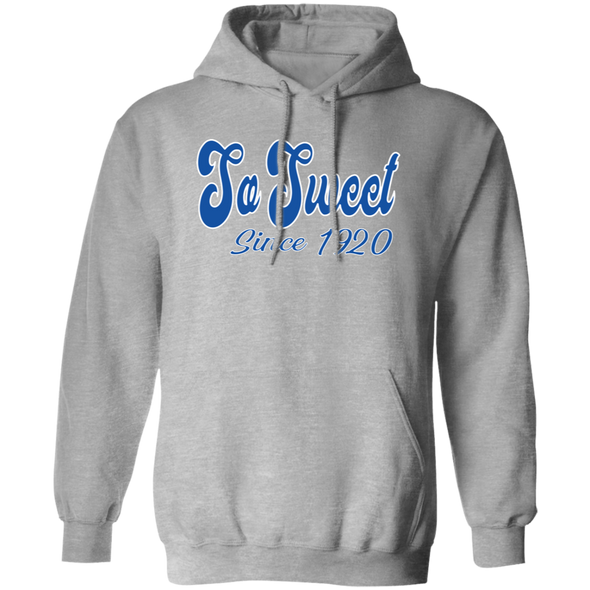 Zeta Phi Beta Sorority Hoodie