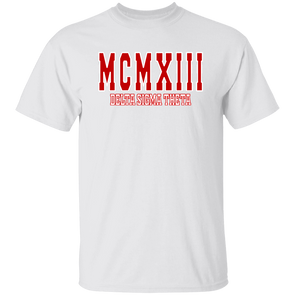 Delta Sigma Theta T-Shirt Paraphernalia Screen Printed Unisex
