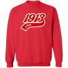 Delta Sigma Theta Sweatshirt Paraphernalia Screen Printed Unisex