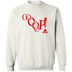 Delta Sigma Theta Sweatshirt Paraphernalia Screen Printed Unisex
