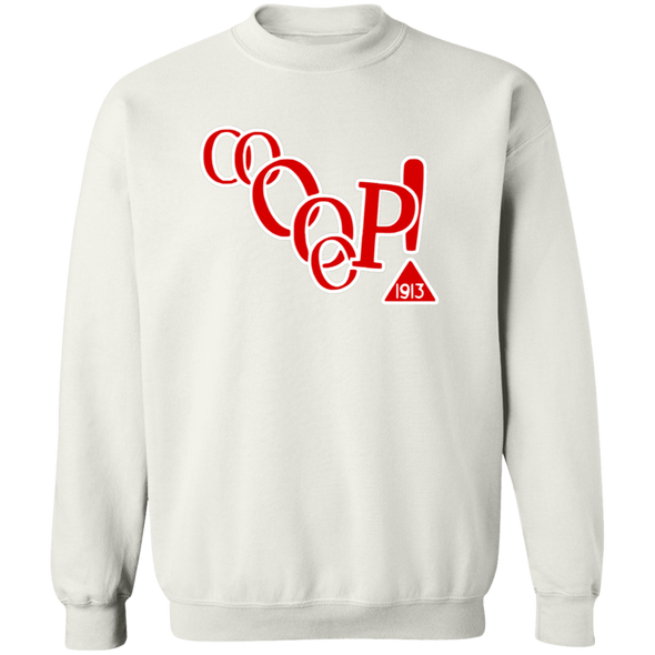 Delta Sigma Theta Sweatshirt Paraphernalia Screen Printed Unisex