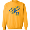 Sigma Gamma Rho Screen Printed Sweatshirt