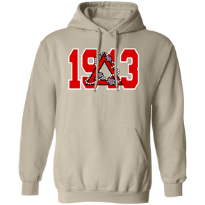 Delta Sigma Theta Hoodie Paraphernalia Screen Printed Unisex