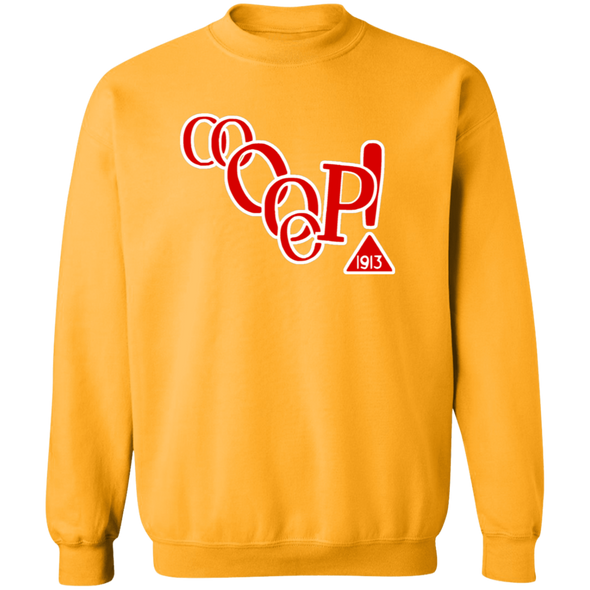 Delta Sigma Theta Sweatshirt Paraphernalia Screen Printed Unisex