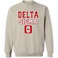 Delta Sigma Theta Sweatshirt Paraphernalia Screen Printed Unisex