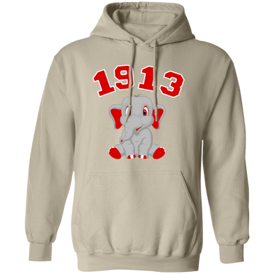 Delta Sigma Theta Hoodie Paraphernalia Screen Printed Unisex