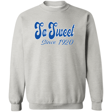 Zeta Phi Beta Sorority Sweatshirt