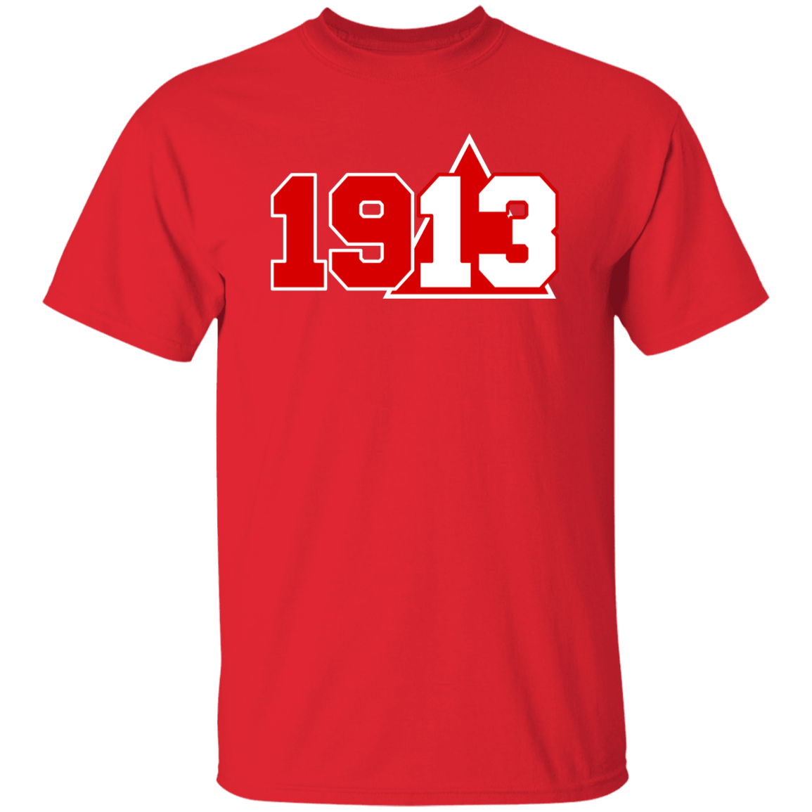 Delta Sigma Theta T-Shirt Paraphernalia Screen Printed Unisex