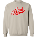 Delta Sigma Theta Sweatshirt Paraphernalia Screen Printed Unisex