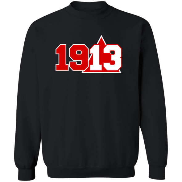 Delta Sigma Theta Sweatshirt Paraphernalia Screen Printed Unisex