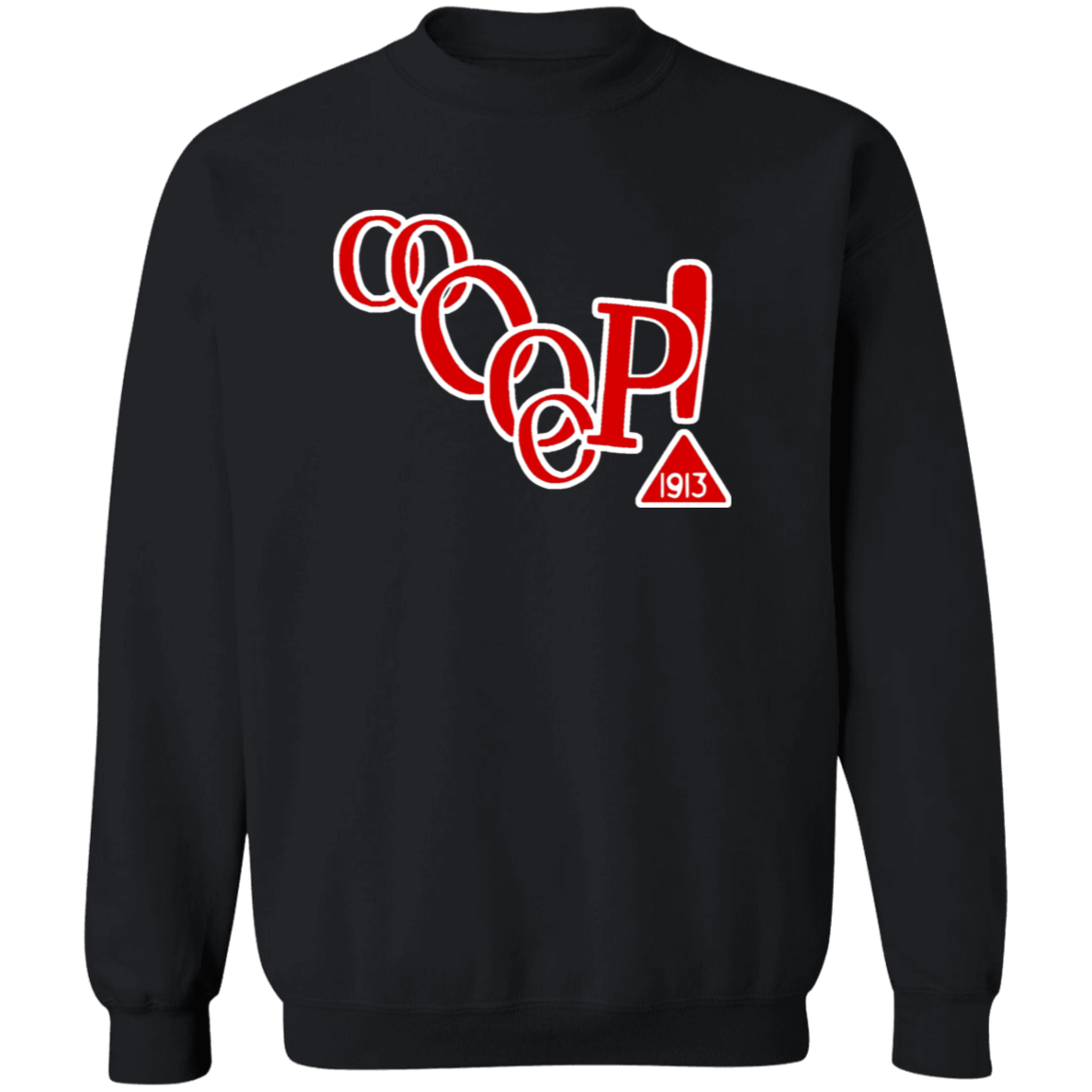 Delta Sigma Theta Sweatshirt Paraphernalia Screen Printed Unisex