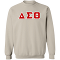 Delta Sigma Theta Sweatshirt Paraphernalia Screen Printed Unisex