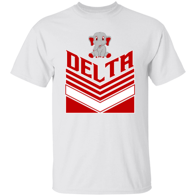 Delta Sigma Theta T-Shirt Paraphernalia Screen Printed Unisex