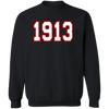 Delta Sigma Theta Sweatshirt Paraphernalia Screen Printed Unisex