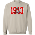 Delta Sigma Theta Sweatshirt Paraphernalia Screen Printed Unisex