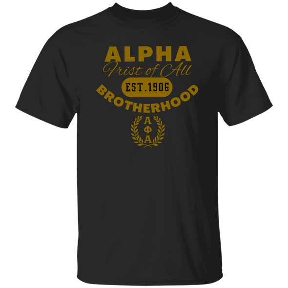Alpha Phi Alpha Black Ice Collection T-Shirt Ed. 13 - My Greek Letters