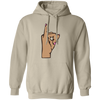 Alpha Kappa Alpha Pullover Hoodie
