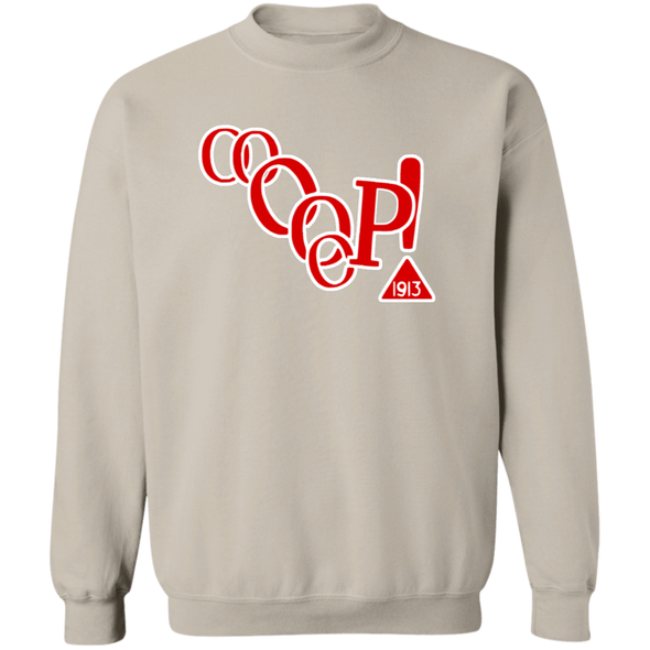 Delta Sigma Theta Sweatshirt Paraphernalia Screen Printed Unisex