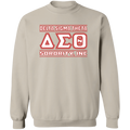 Delta Sigma Theta Sweatshirt Paraphernalia Screen Printed Unisex