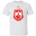 Delta Sigma Theta T-Shirt Paraphernalia Screen Printed Unisex