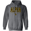 Alpha Phi Alpha Fraternity Hoodie