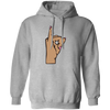 Alpha Kappa Alpha Pullover Hoodie